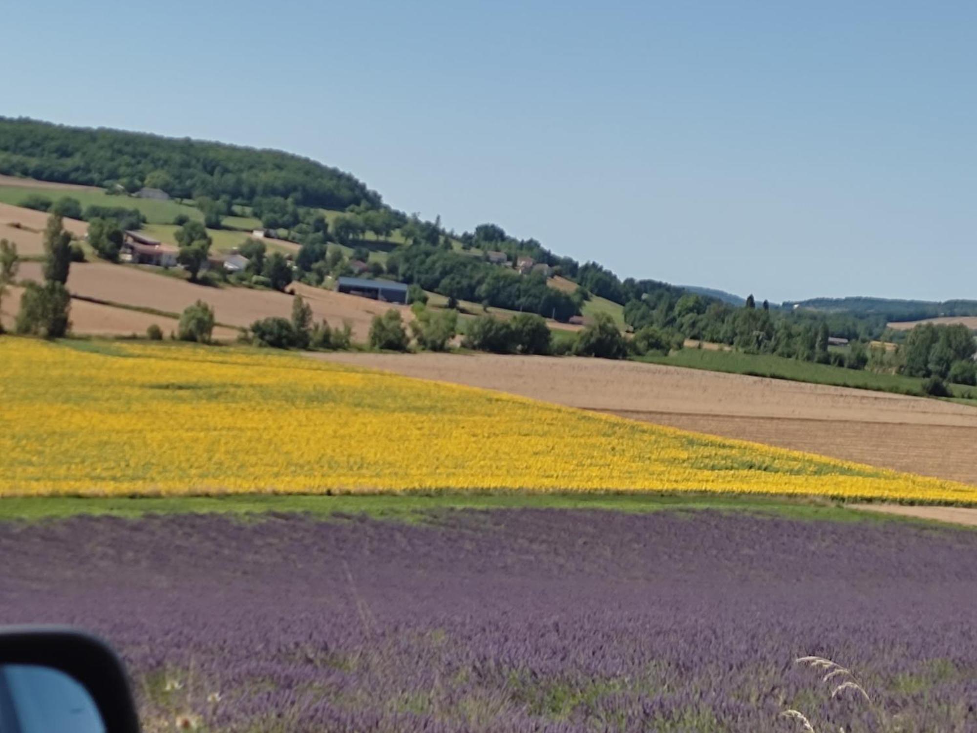 Gite De La Tour Montcuq Buitenkant foto